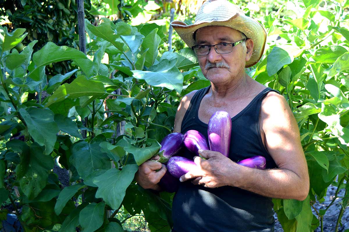 El equipo de ADES fortalece sus capacidades en la producción orgánica