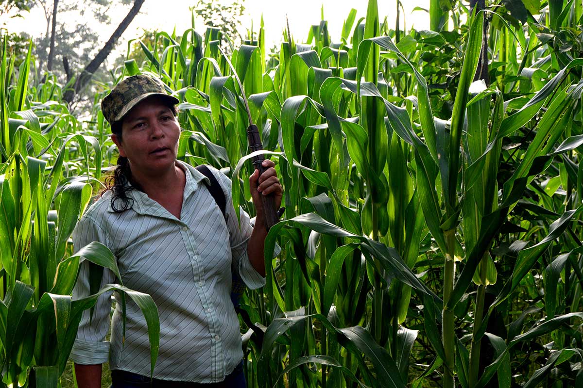 El equipo de ADES fortalece sus capacidades en la producción orgánica
