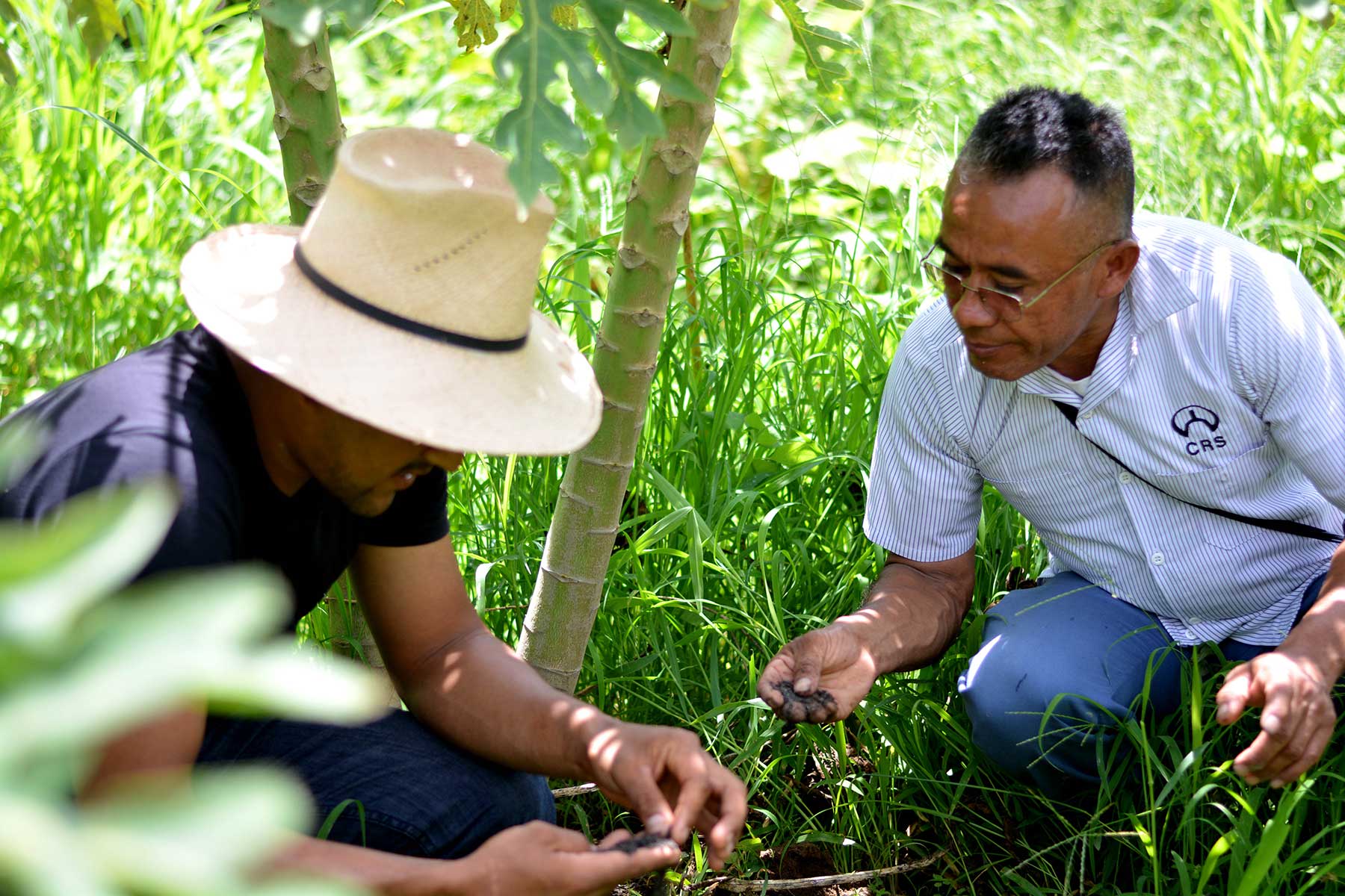 El equipo de ADES fortalece sus capacidades en la producción orgánica